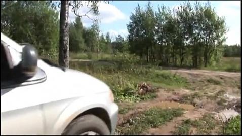 Шлюхи на двух колесах групповой трах в лесу